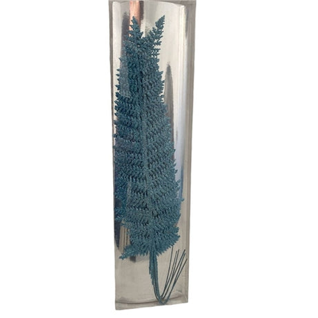 Blue Pine tree decorative