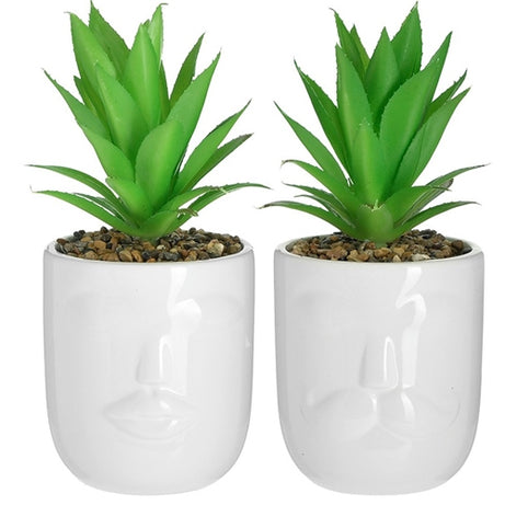 CERAMIC PLANT IN POT 2 DESIGNS WHITE/GREEN