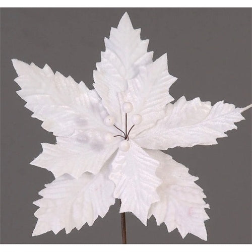 Christmas white Flower