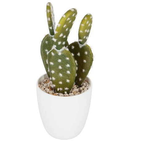 PL PLANT IN POT 6 DESIGNS WHITE/GREEN