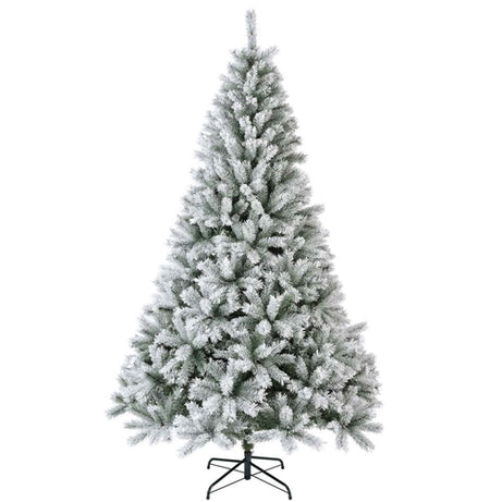 Christmas tree Canada spruce frosted 8 (240 cm )