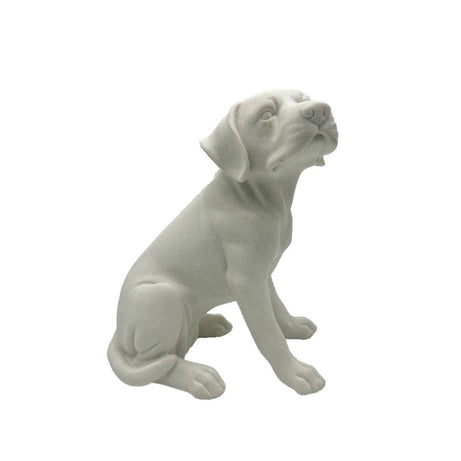 Boris dog decor