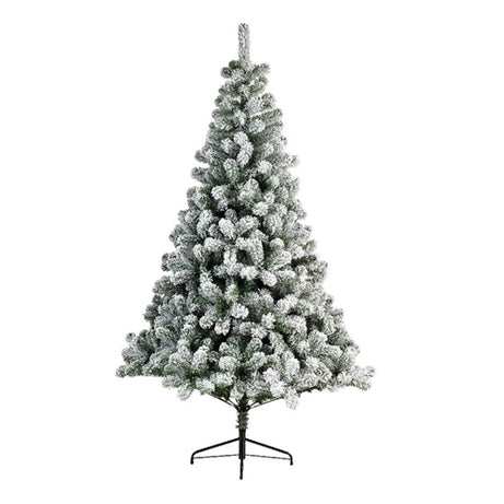 Christmas Tree imperial pine snowy 8 (240cm )