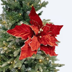 Burgundy Flower with Gold Tips