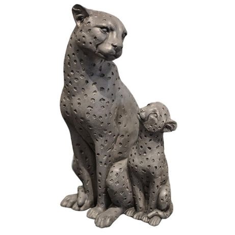 Leopard with son ( Grey )