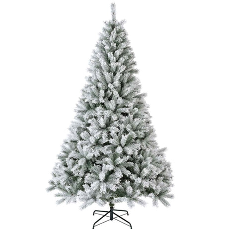 Christmas tree Canada spruce frosted 7 (210 cm)