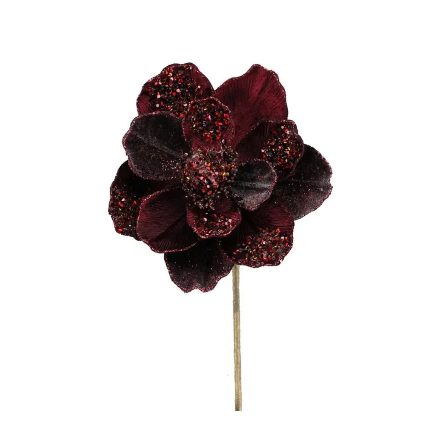 Flower Magnolia steam burgundy