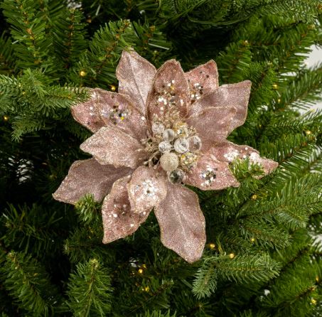Flower Poinsettia stem champagne