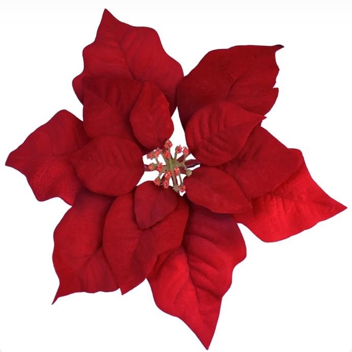 red poinsetia w/clip