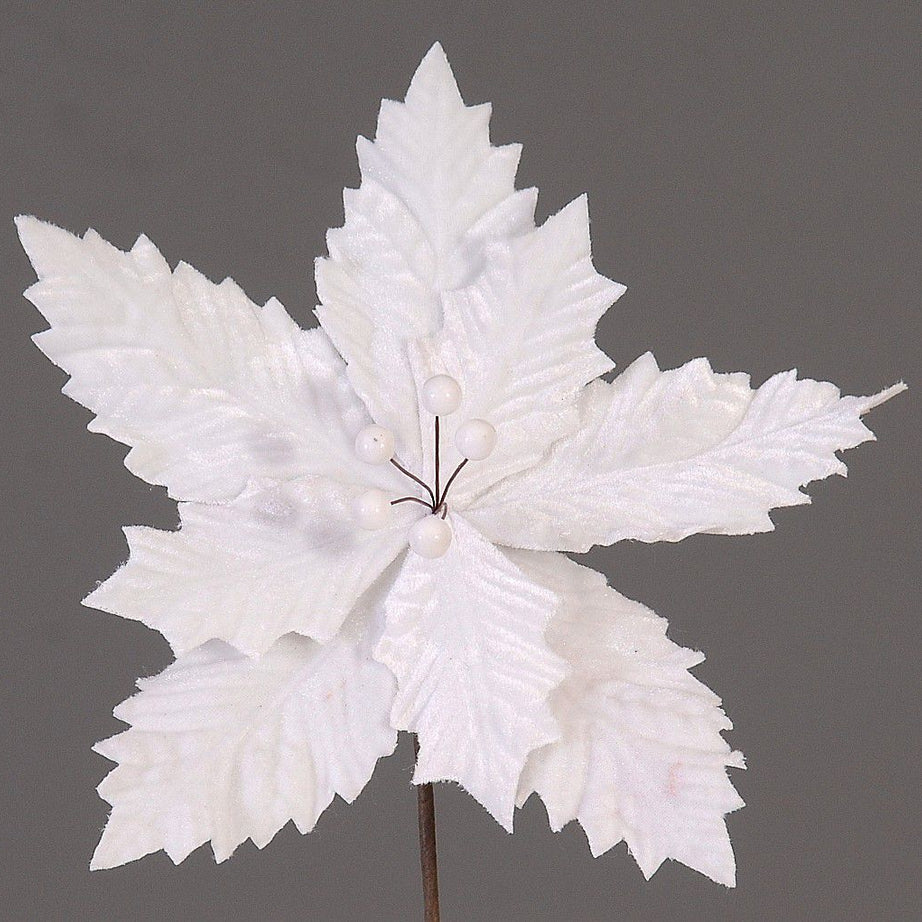 Christmas white Flower