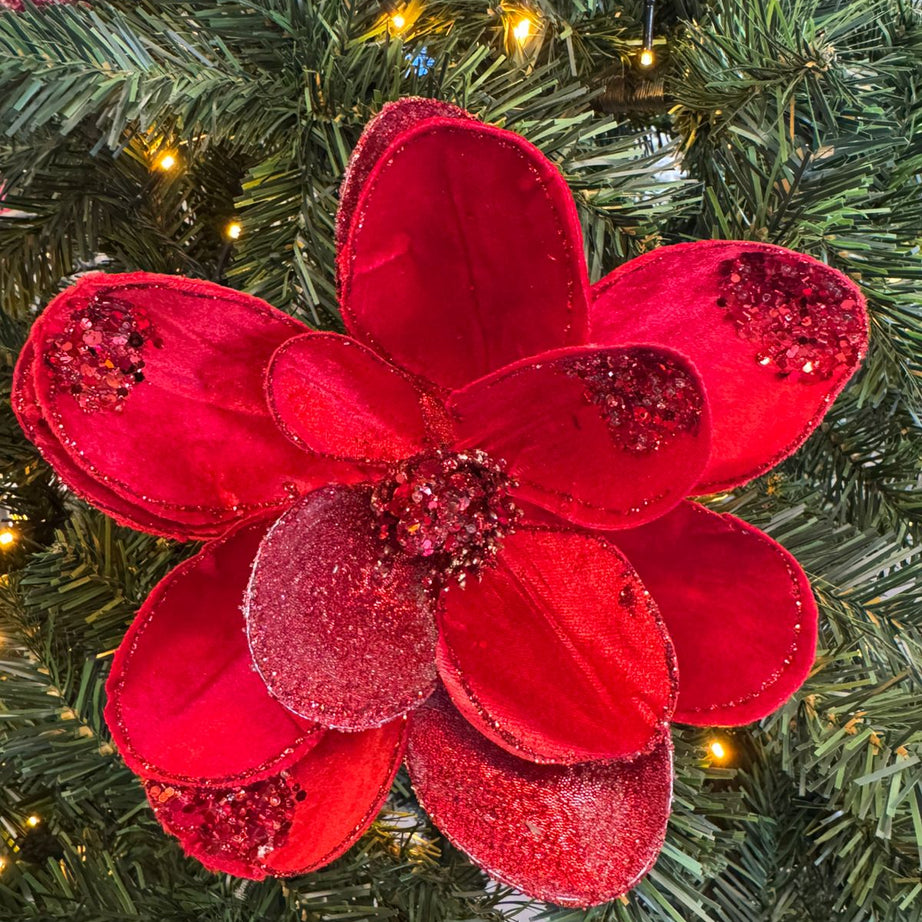 Flower Magnolia stem christmas red