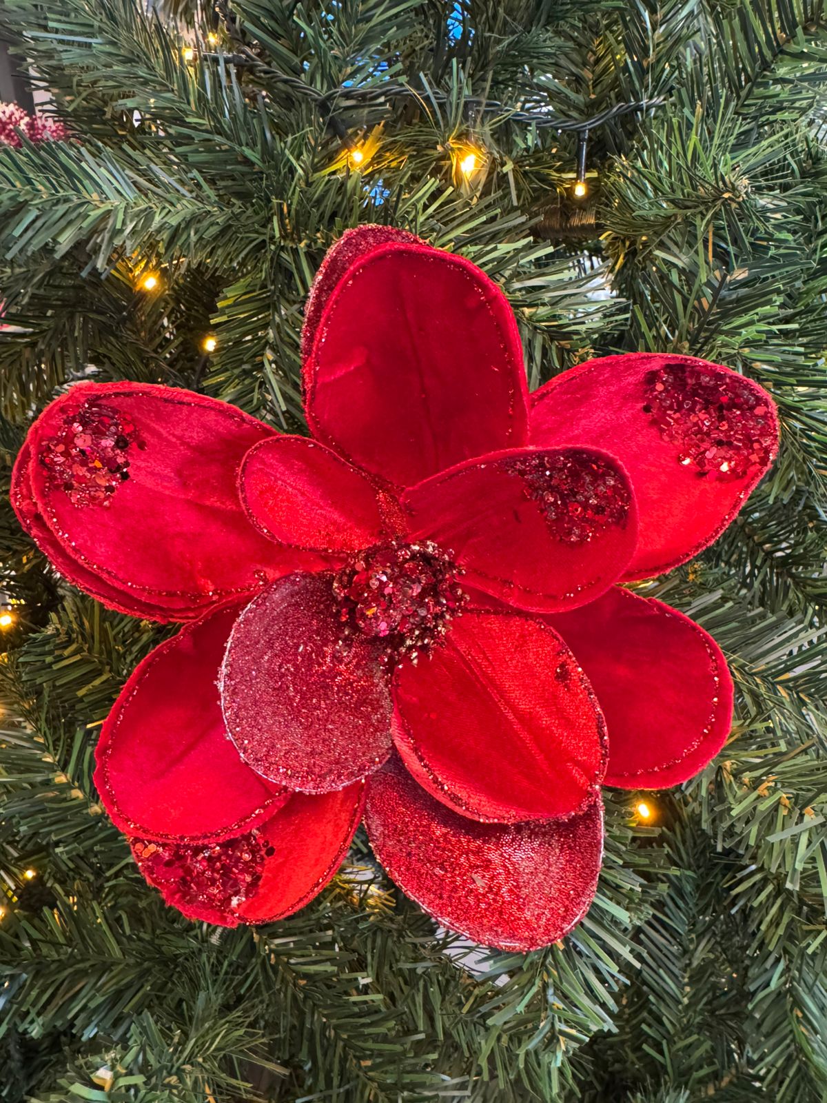 Flower Magnolia stem christmas red