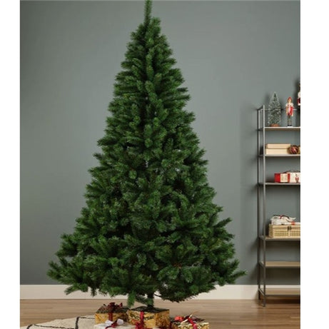 Christmas tree Canada spruce 6 (180 cm )