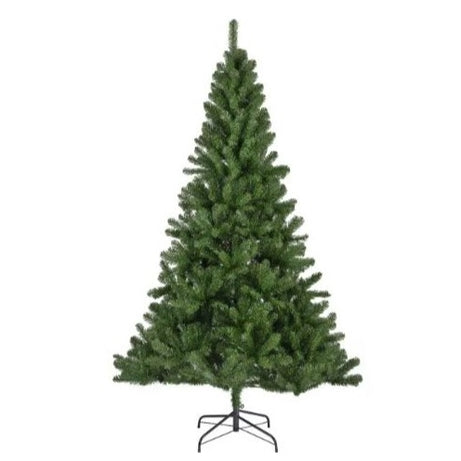 Christmas tree Monarch pine (240cm)