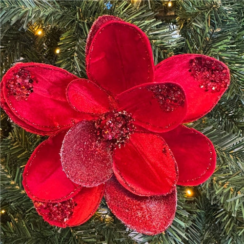 Flower Magnolia stem Christmas red