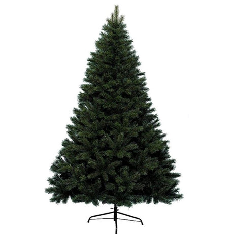 Christmas tree Canada spruce (210cm)