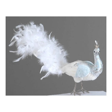 Blue peacock