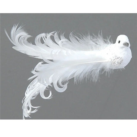 White bird w/feather