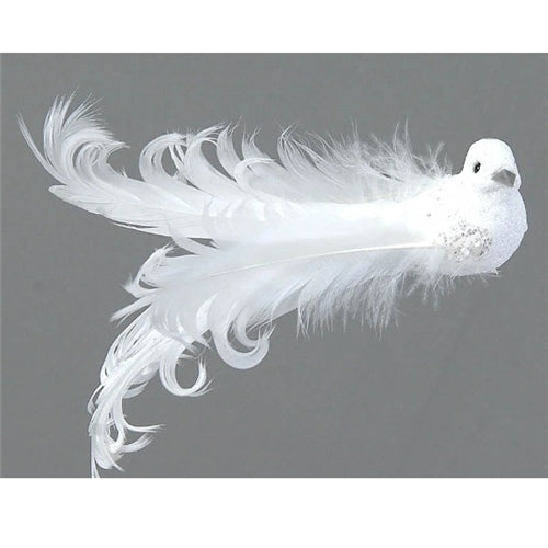 White bird w/feather