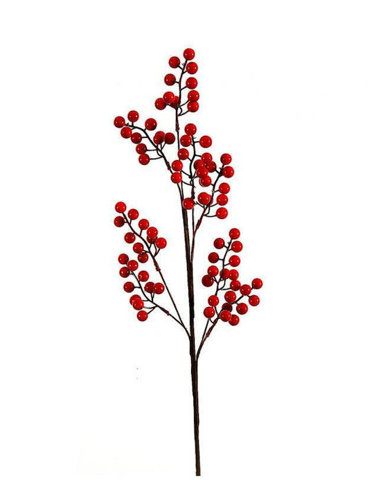 Branch w/ red berries